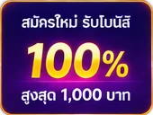 โบนัส 100%